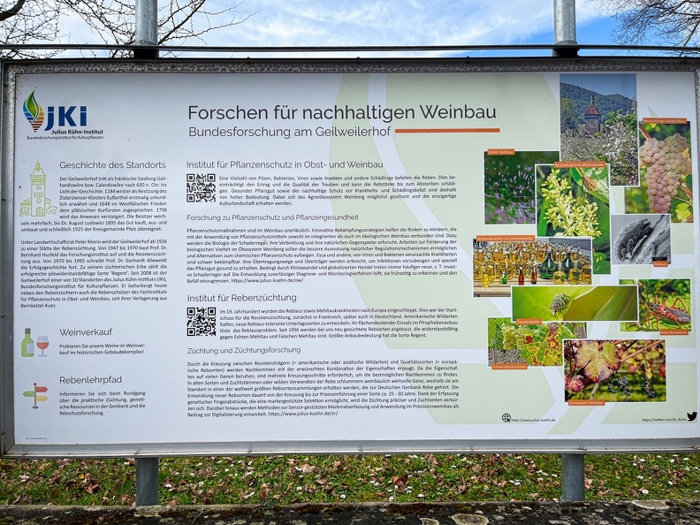 23-03-13 11-05-57 4834.jpeg